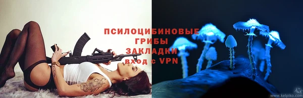 прущая мука Алзамай