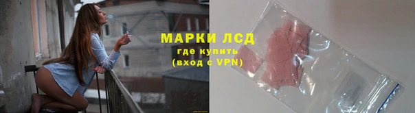 ГАЛЛЮЦИНОГЕННЫЕ ГРИБЫ Алексин