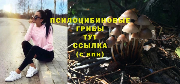 ГАЛЛЮЦИНОГЕННЫЕ ГРИБЫ Алексин